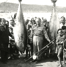 Couverture du document « Pêche au Gros en baie de Lannion. Thons rouges et requins. 1946-1953 » — archives ARSSAT