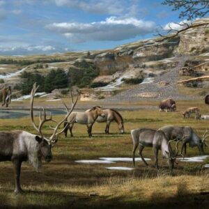 Couverture du document « Impact de l’homme sur l’environnement en Bretagne, de la Préhistoire au Moyen-Age » — archives ARSSAT