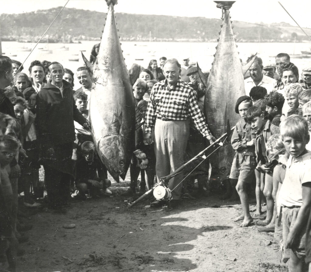 Pêche au gros en baie de Lannion — carte postale (1947)