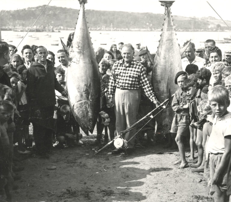 Pêche au gros en baie de Lannion — carte postale (1947)