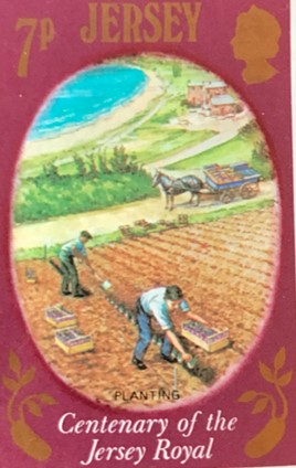 Saisonniers bretons à Jersey — illustration