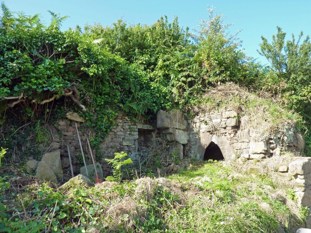P1170699