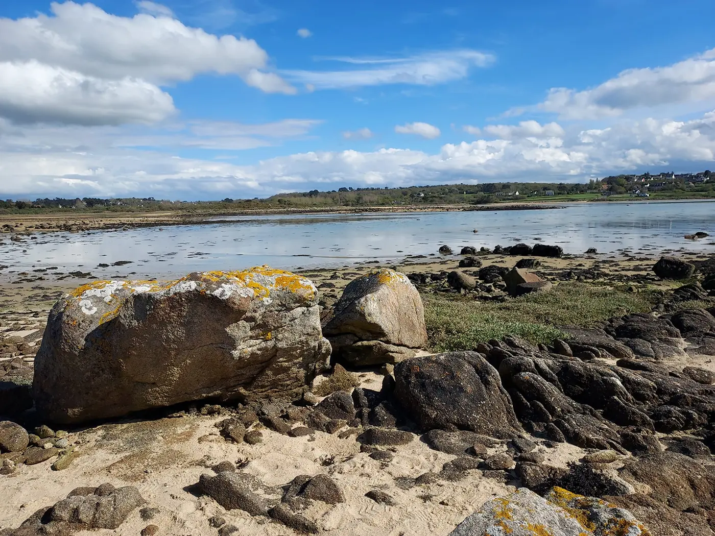 Rochers granitiques couverts de lichens jaunes sur l'estran à marée basse à l'Île-Grande, avec un plan d'eau calme et le bourg en arrière-plan, Côtes-d'Armor, Bretagne