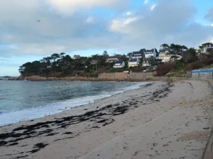 Plage de sable de Pors Termen à Trébeurden avec algues échouées et villas bretonnes sur le coteau boisé, Côtes-d'Armor, Bretagne