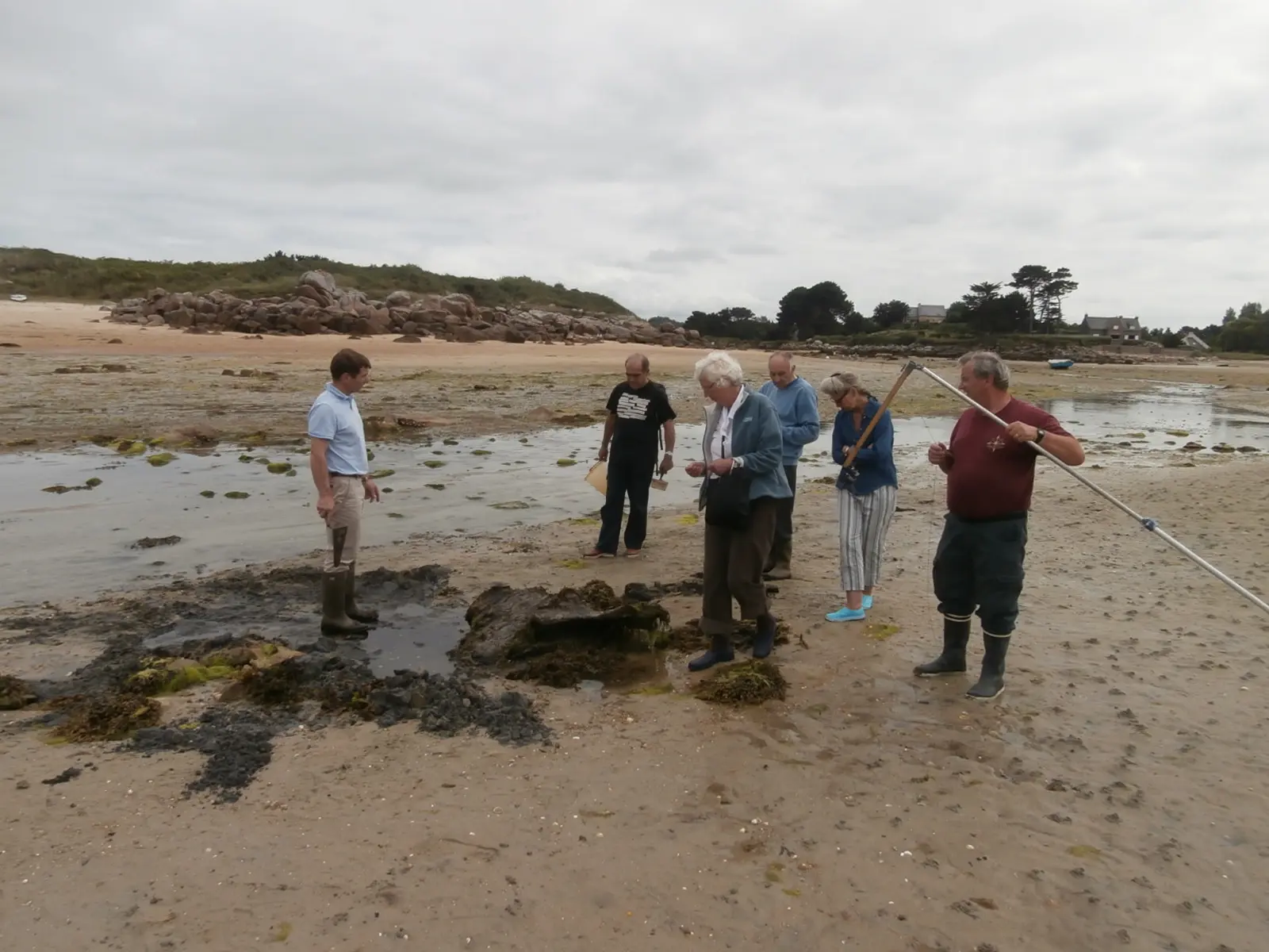 Groupe de personnes observant des vestiges sur l'estran à marée basse lors d'une sortie de prospection archéologique.